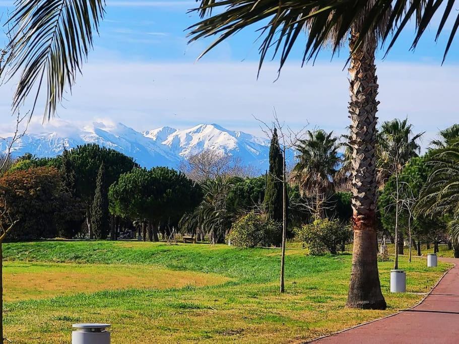Appartement 63 M2, Tout Confort, Climatise. سان سيبريان المظهر الخارجي الصورة